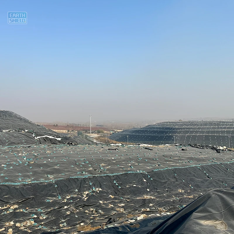 0.5mm HDPE Geomembrane Liners 100% New Resin for Fish Ponds