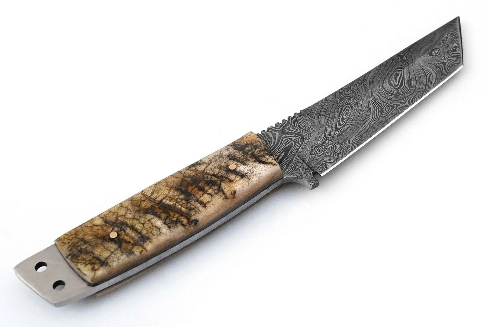 Beautiful Sizzco Handmade Damascus Steel Fixed Forged Blade Hunting Camping Skinner Tanto Knife Gift For Him Handle Ram Horn