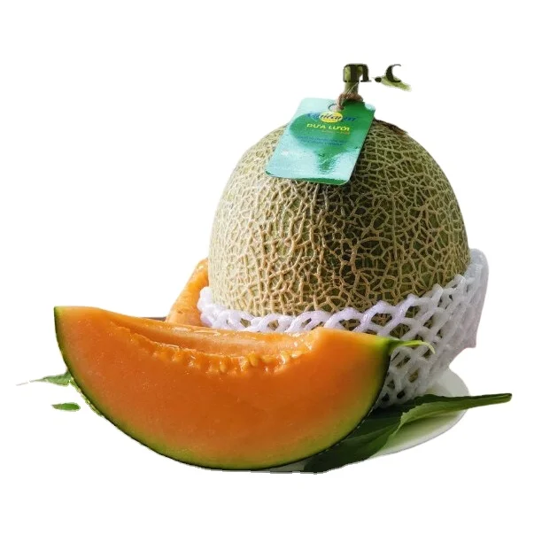 Fresh musk melon with high quality for life Made in Vietnam Fresh Melon - Custom Package Sweet Organic Juicy Cantaloupe Melon