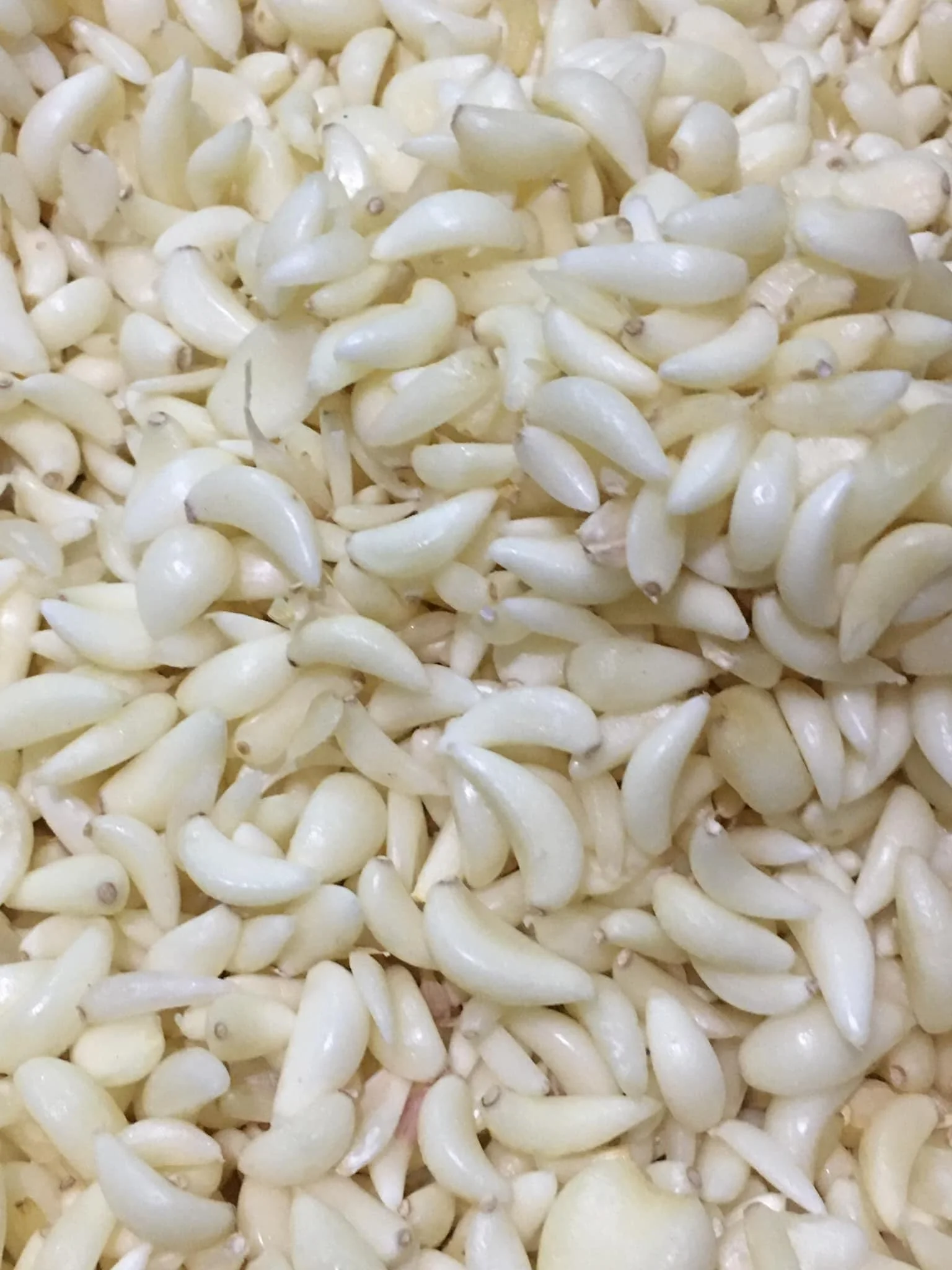 Оптовая продажа вакуумная упаковка для упаковки свежих Замороженных Чесноков