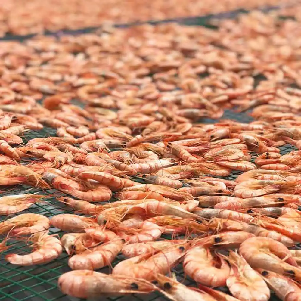 Frozen Fresh Shrimp Seafood Black Tiger Prawn OEM Box Style Packaging Weight Shelf Headless Origin Type Life Variety Size Place