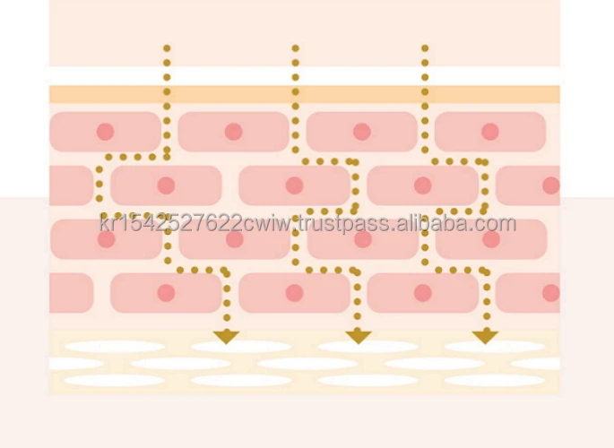 High Quality Medi-Peel Peptide Tox Bor Multi Care Kit MADE in KOREA Wrinkle Care, Skin Elasticity, Nutrition and Moisturizing