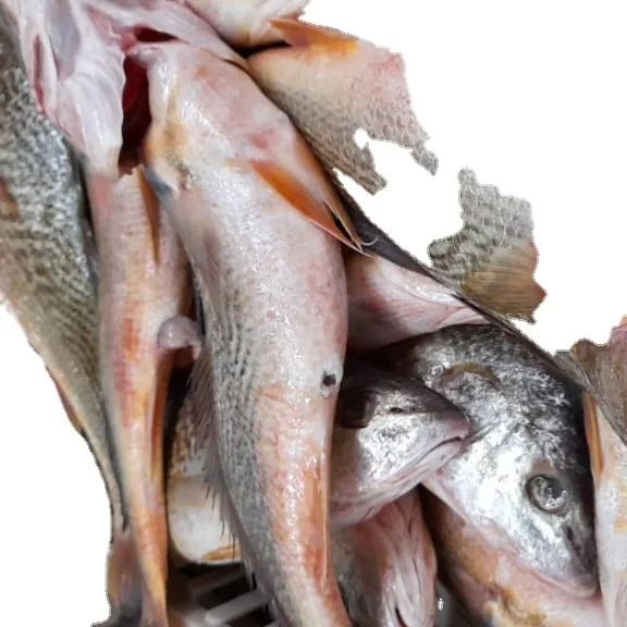 Замороженный желтый Крокер (MICROPOGONIAS FURNIER), поставка рыбы оптом