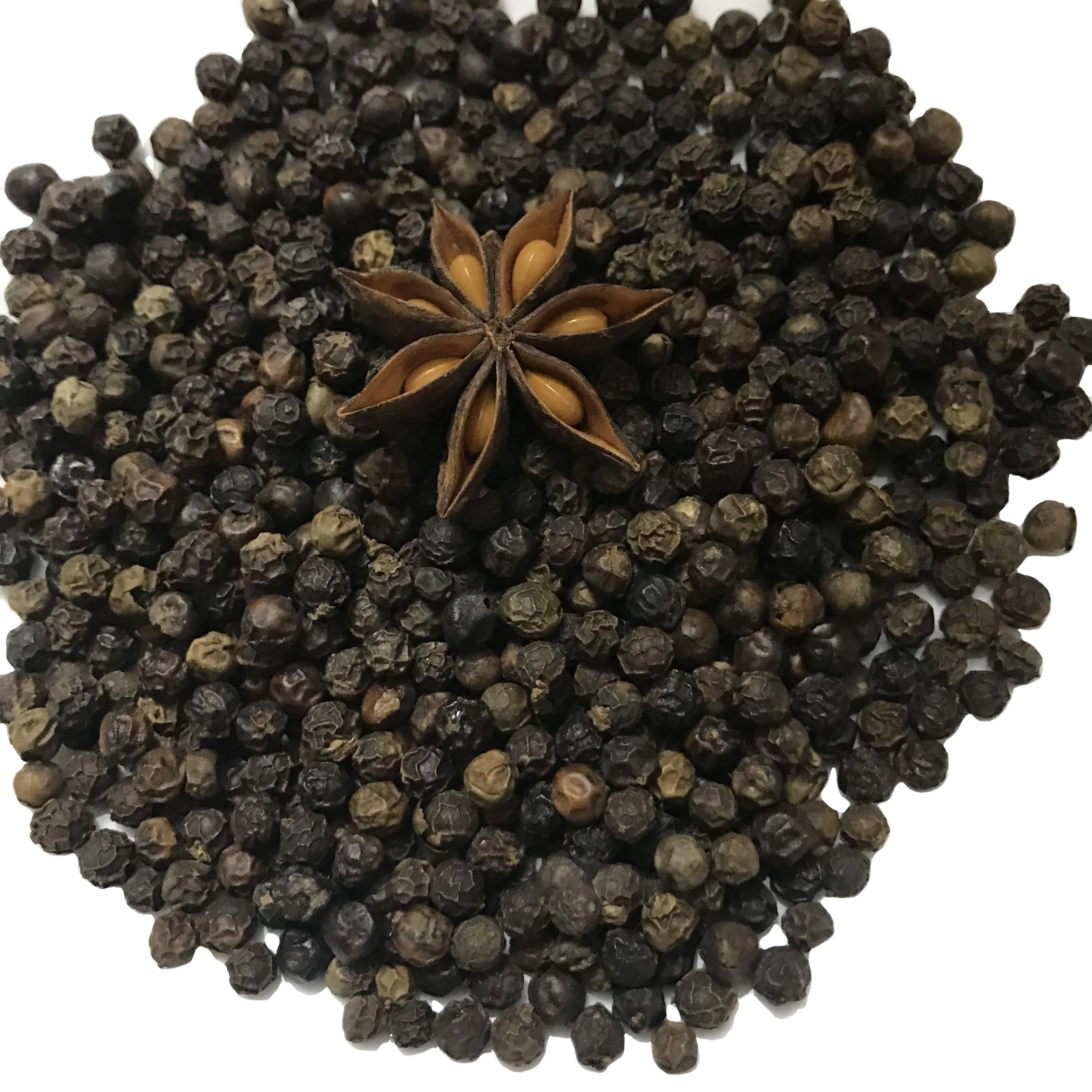 Hot Spices White and BLACK PEPPER 550 gl MC - 5MM Black pepper Vietnamese Origin for producing Seasonings WS +84 326055616