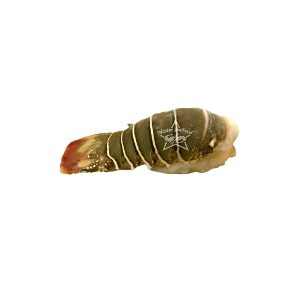 Lobster Tail Frozen Best Quality Master Seafood Product Country of Origin Bangladesh 2 Ounce to 12 Ounce Packing 10 KG per MC