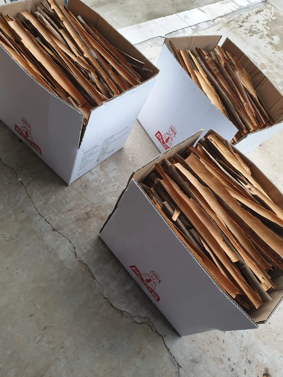 Cassia powder Cigarette Cinnamon Split Cassia Best Quality Cheapest Price 2021 Crop