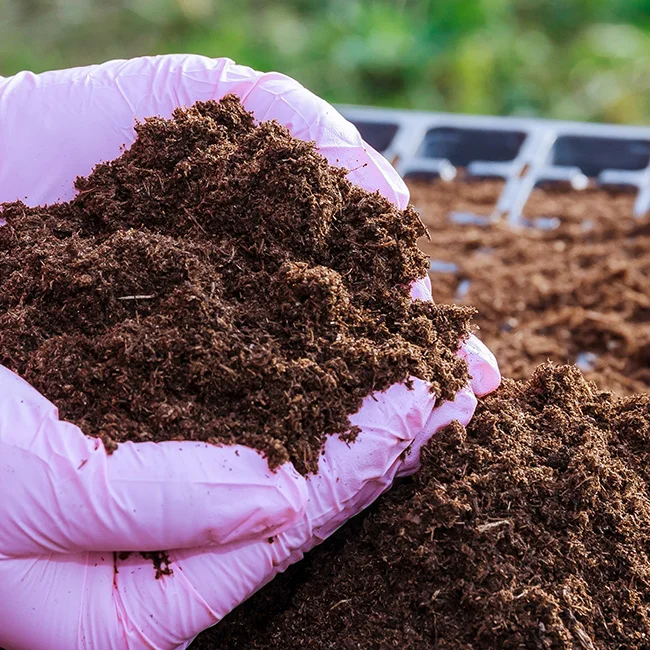 COCO PEAT FOR TOMOTTO GROWERS