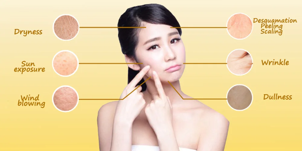 Anti-wrinkle Firming and whitening skin Coix Lacryma-Jobi Seed Extract moisturizing face care serum