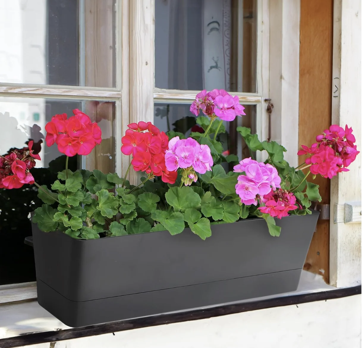 Window Boxes Planters Flower Pots & Planters Genre Product