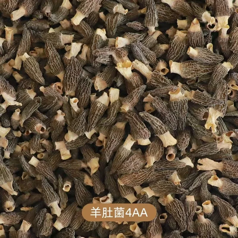 China preferential morels high quality cultivated wild morels organic dried morels