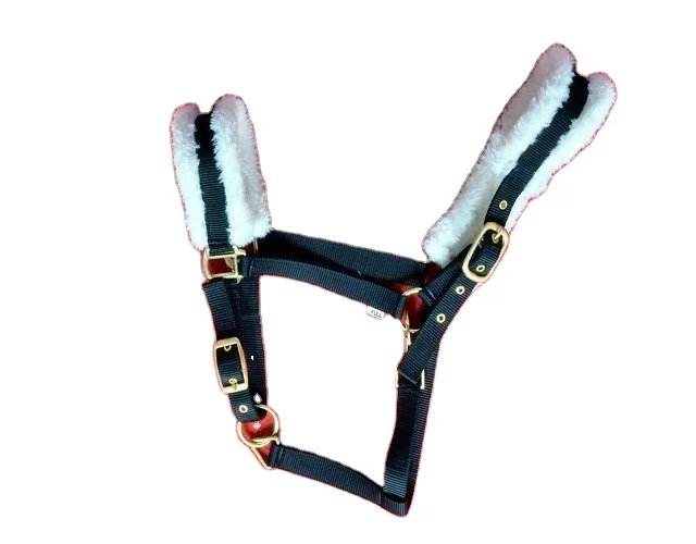 Jump Horse Halter Padded synthetic Fleece with Matching Lead rope Nylon Twisted Manufacturers Riding Equipment Tack Shop
