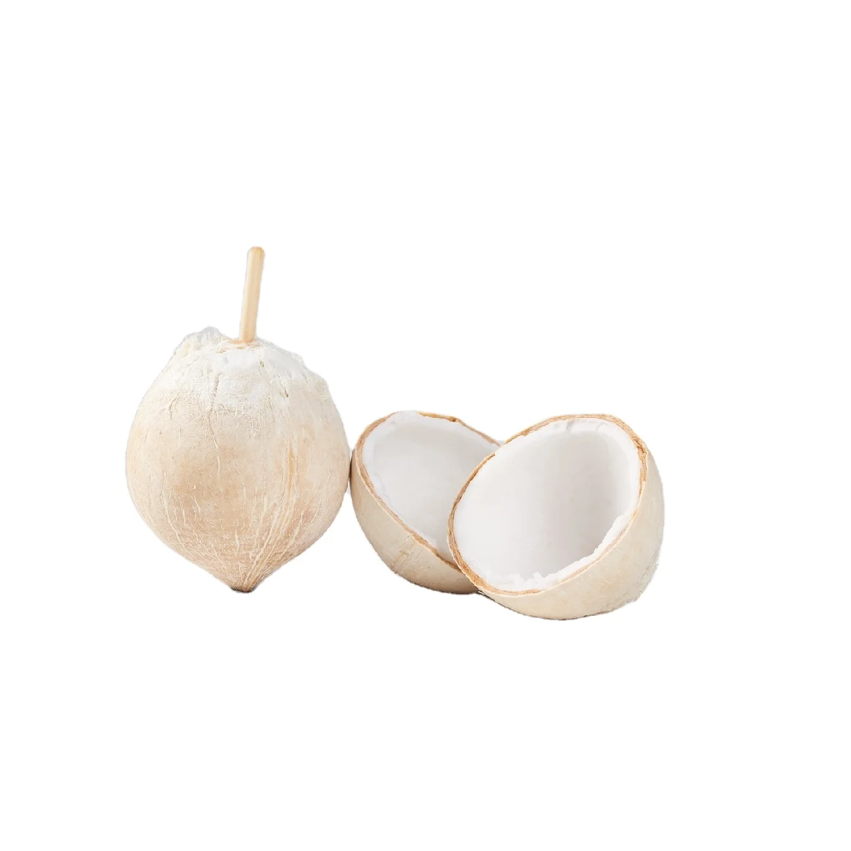 Vietnamese Exports of Dried Coconut - White Peeled Fresh Polished  Coconut - Use For Drink, Coconut Jelly