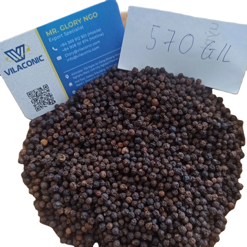 Wholesale Pure Black Pepper Vietnam Cheap Export Dried Herb 500GL 5MM Powder Bold Steam Sterilized No Dust FAQ/ASTA Compliant