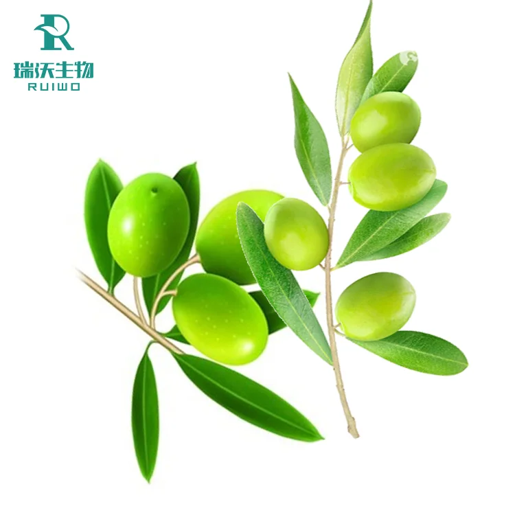 High Quality Pure Natural Hydroxytyrosol 5% 10% Oleuropein 20% 40% Olive Leaf Extract