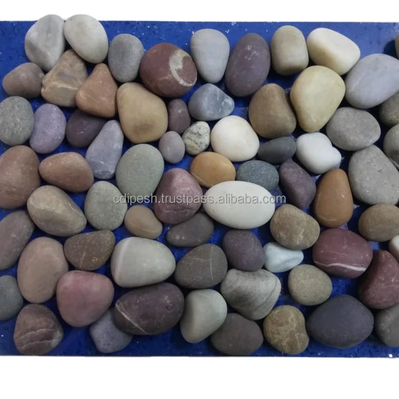 Various Natural Mixed Pebble Stone for Construction and Real Estate / Indian Price of