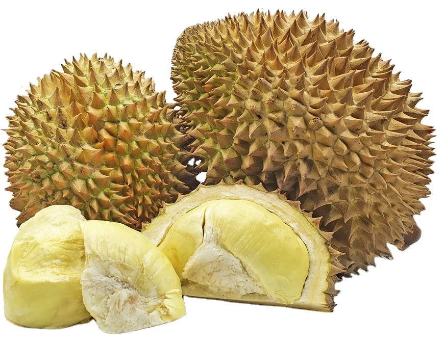 CUSTOMIZED BRAND MONTHONG DURIAN MADE IN VIETNAM  FOR EXPORT WITH THE BEST PRICE EU QUALITY