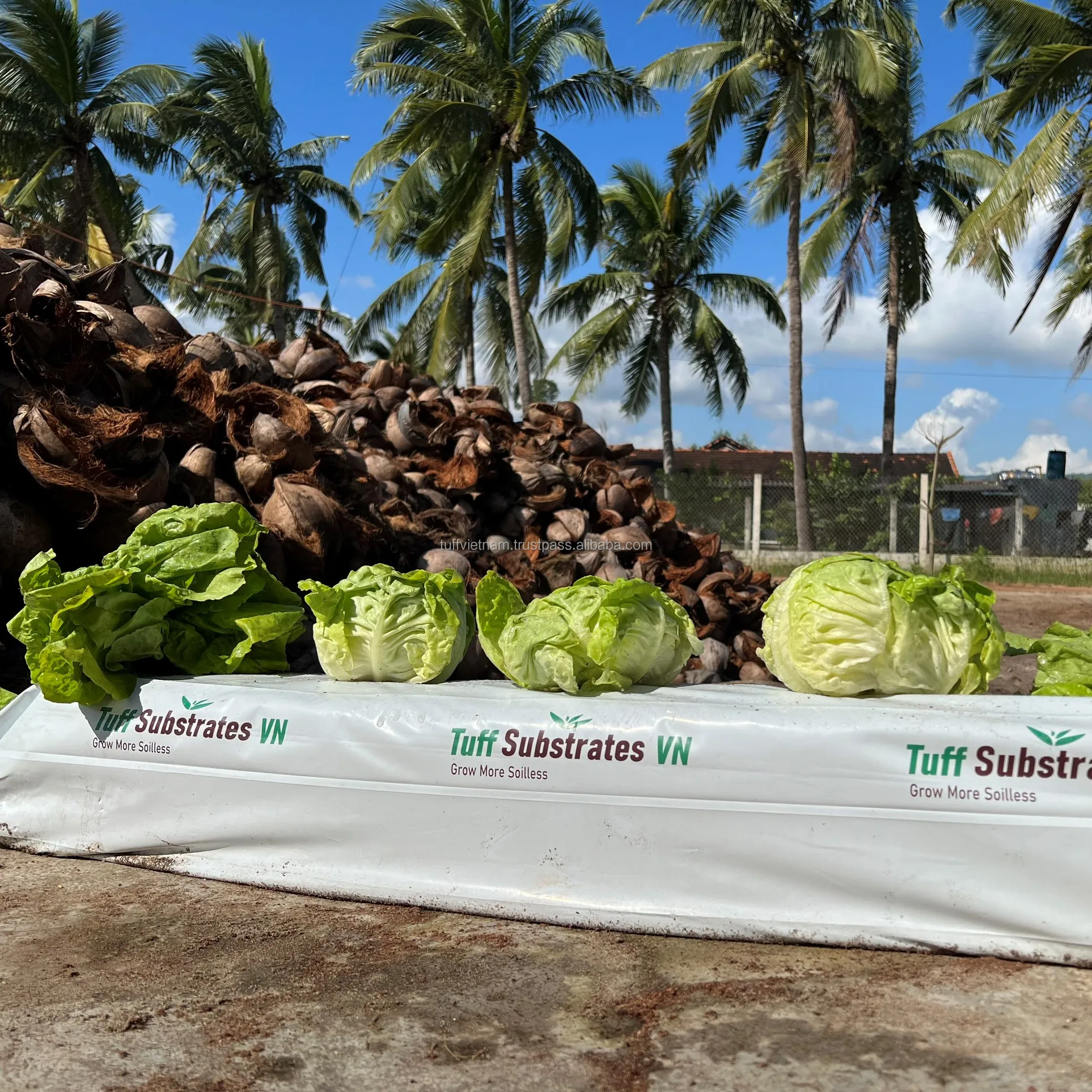 Cocopeat Growbag 28L Coconut Fiber / Peat Moss For Sale Grow Bags For Planting Tree Low EC