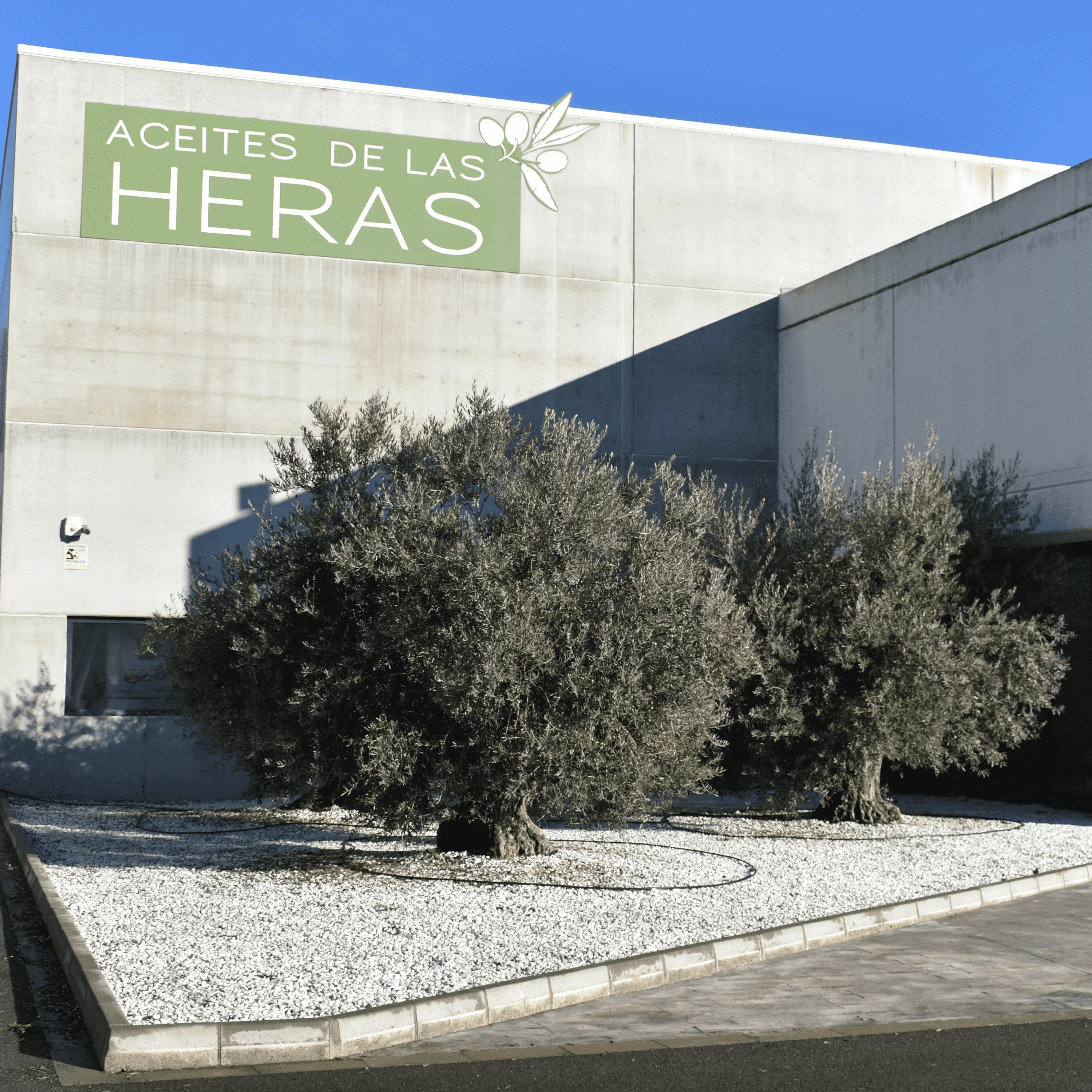 High Quality Spanish Olive Pomace Oil DRUM 200kg (220L) - Best olive oil price in drum from Spain