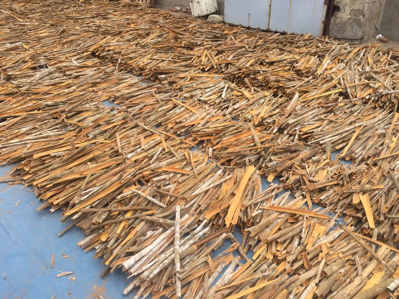 GOOD PRICE CASSIA/ CINNAMON NATURAL BROWN COLOR (Mobile/ WA: +84986778999 David Director)