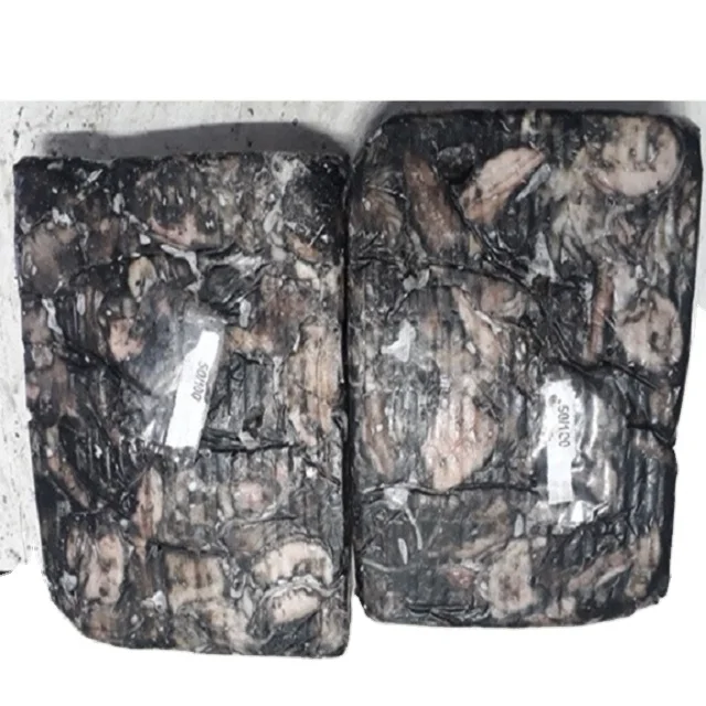 FROZEN BABY CUTTLEFISH WHOLE