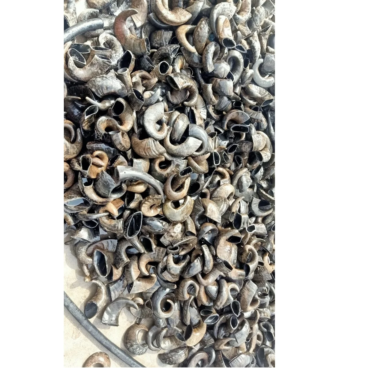 Hot selling pet products pet Food Dogs Food For product pricing best quality customization buffalo Horn natural horn