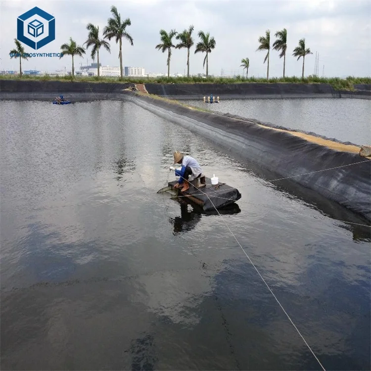 Waterproof Geomembrane HDPE Shrimp Pond Liner for Aquaculture in Southeast Africa