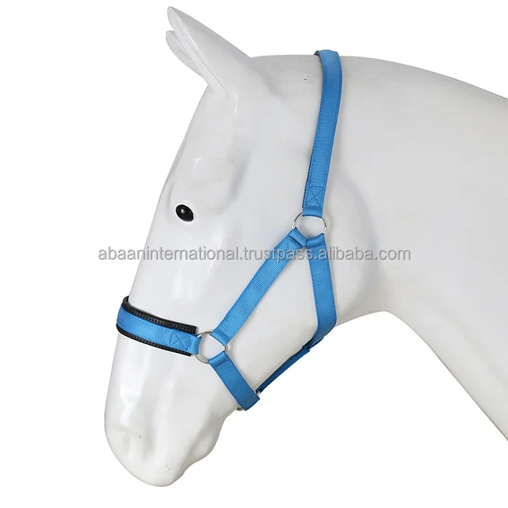 Top Selling High Quality Horse Nylon Halter Plain Head Collar Racing Manufacturer in India