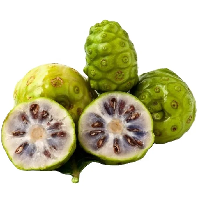 Wholesale Dried Noni Fruits for Herbal Tea and Making Soap OEM Bulk Packing