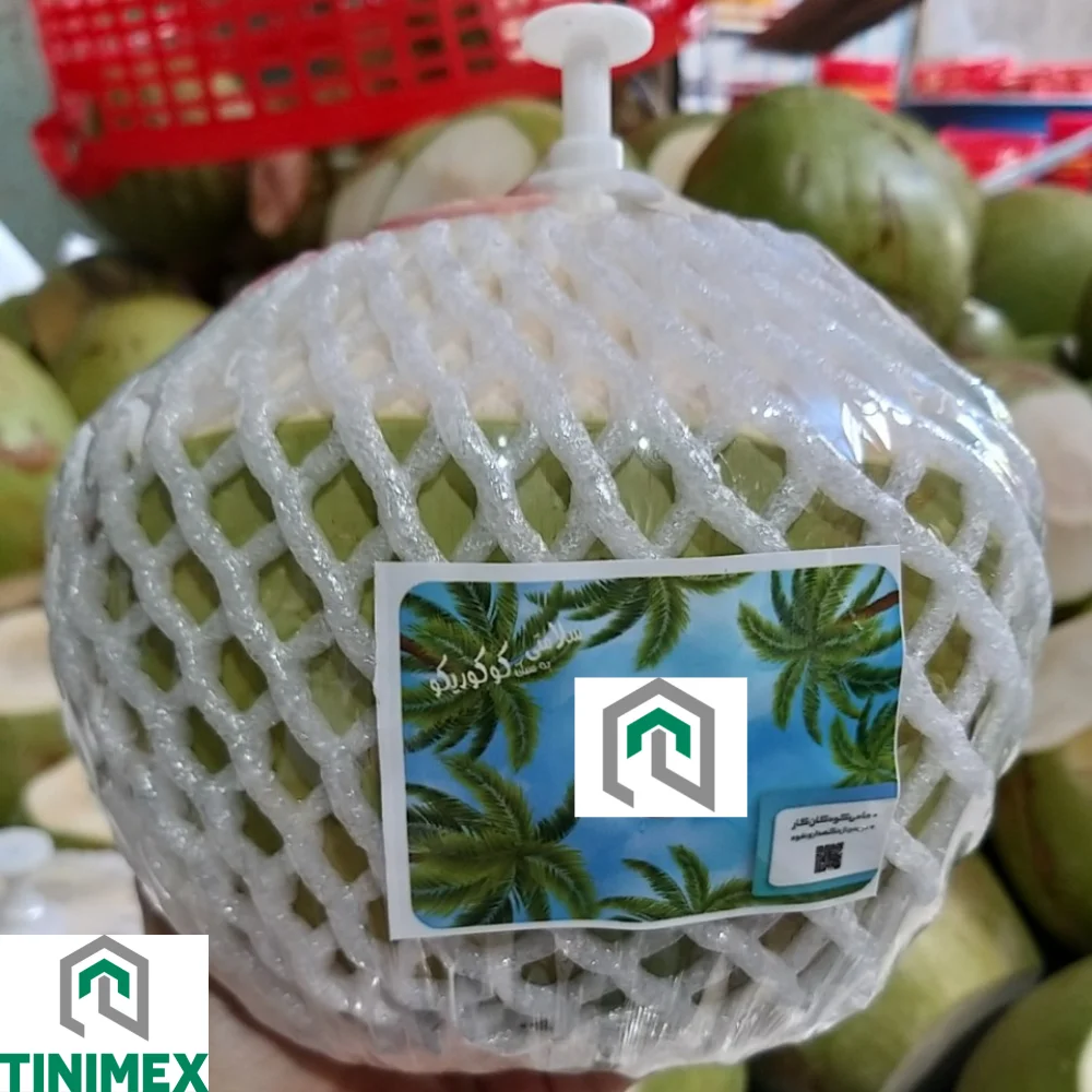 EASY OPEN COCONUT | Cost-Effective | Premium Vietnamese Coconut in Carton Packaging (WhatsApp: +84 98 858 1390)