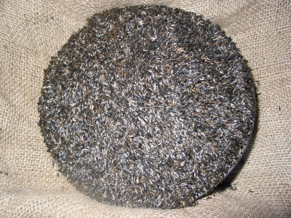 2022 распродажа популярный товар богатый нефтью аппарат черный Нигер 100% натуральный сушеный для кормления птиц готов к экспорту