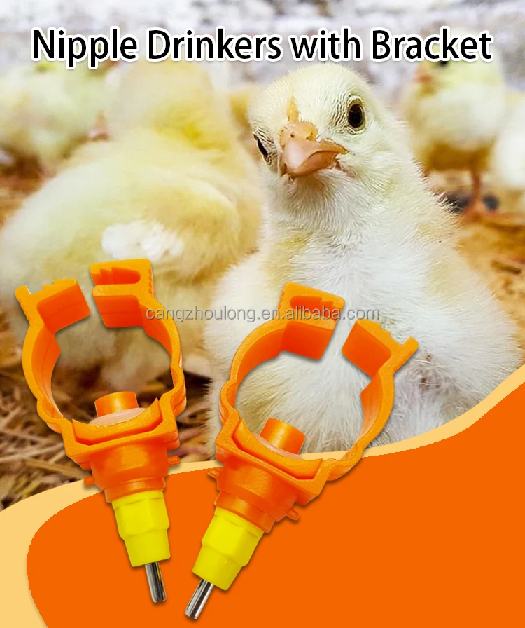 LM-49 Big Discount Wholesale Chicken Bird Water Drinker Poultry Nipple Drinker For sale