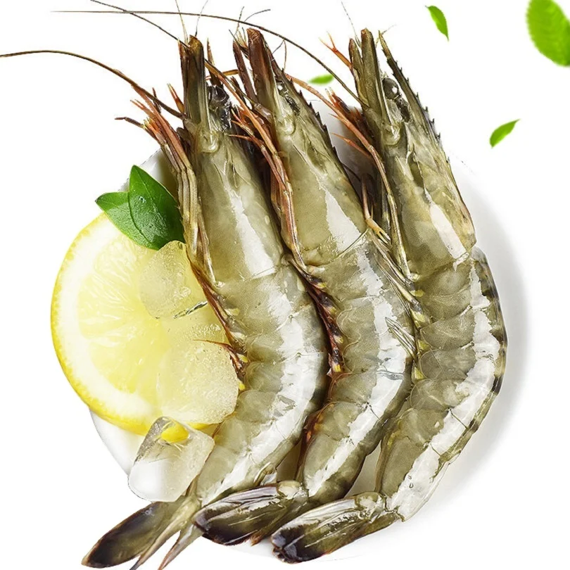 Hot Selling Frozen Vannamei Shrimp For Export