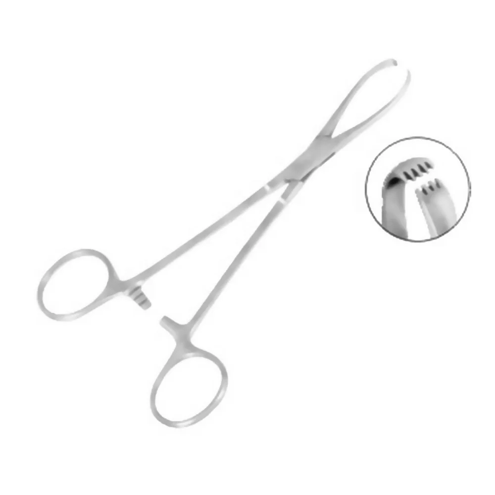 
Best Quality Towel Clamp Forceps 13.5 CM Surgical Instrument in good quality suitable price best sellig product in pakistan 