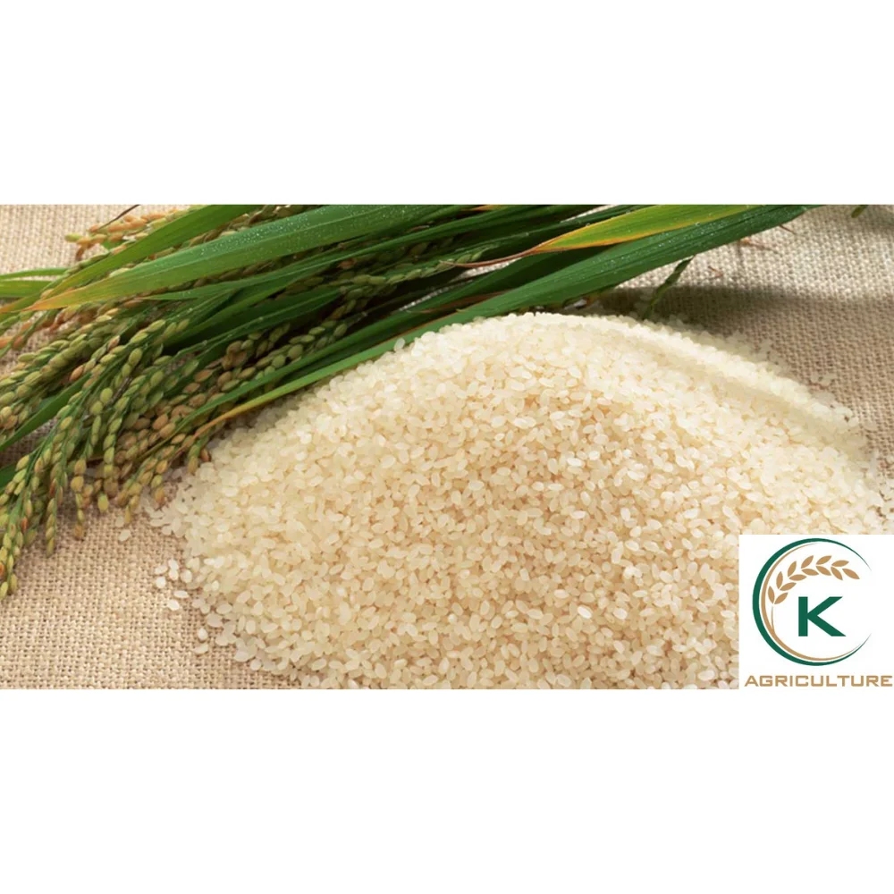 [Vietnam] Best Selling of Highest Quality Japonica rice good Vietnamese rice Best Price rice japonica cheap 5% 10% Broken