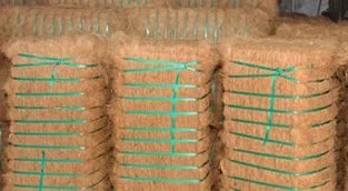 
Natural Coir Fibre Coconut Fiber Coco Coir 