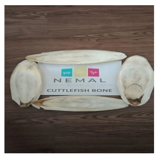 
High Quality Cuttle Fish Bone 