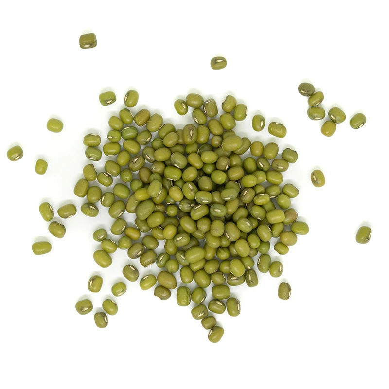 High-End Premium Quality Green Mung Beans / green mung beans specification / Green Mung Beans