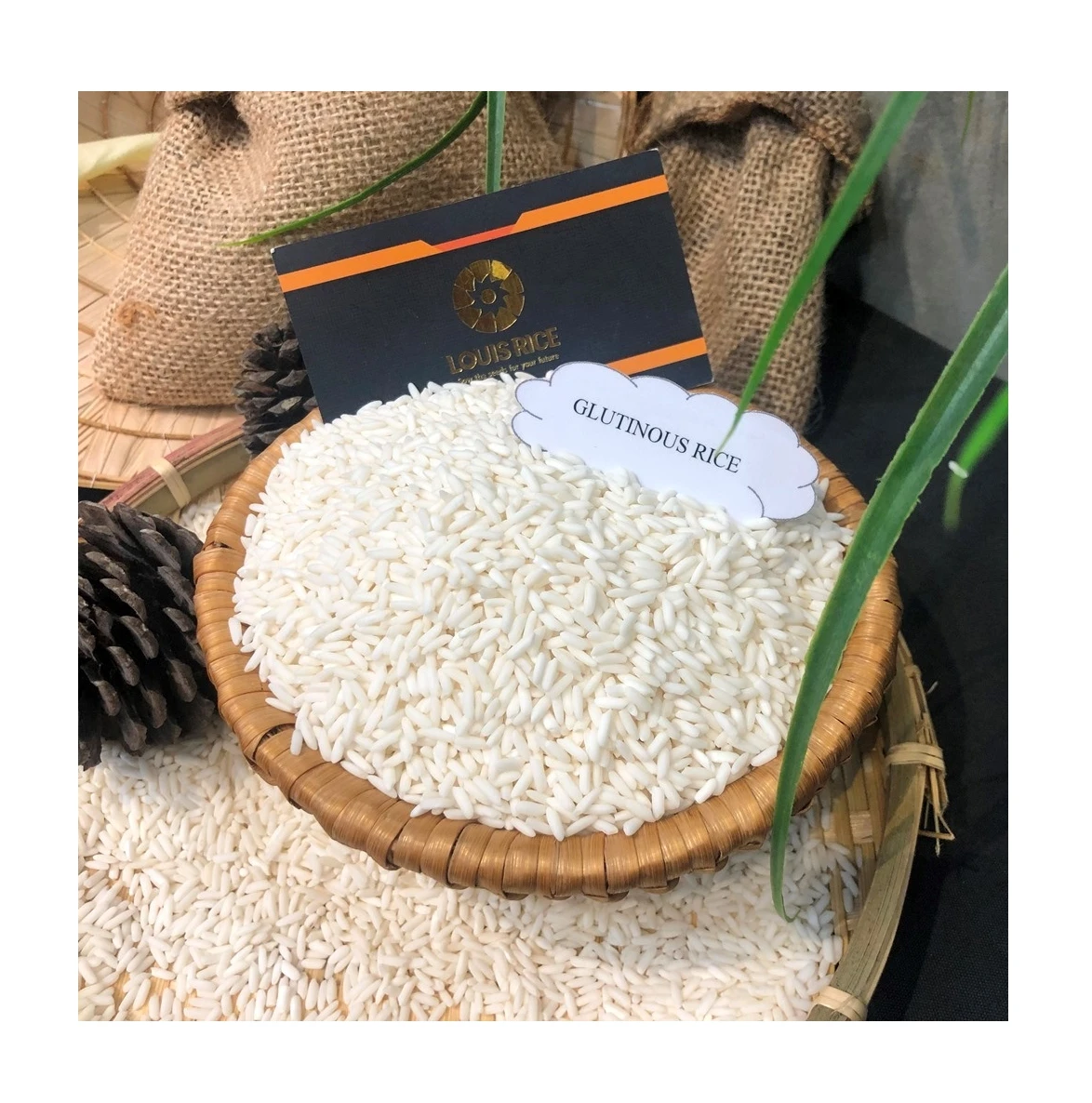 Sticky Vietnam Glutinous Rice 10% Broken