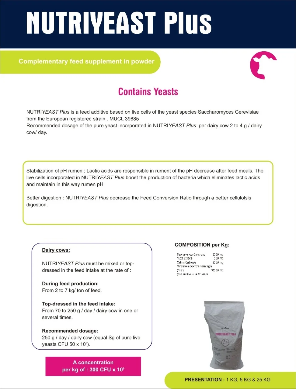 PRODUCT FOR FAST ABSORPTION IN ANIMALS OF PROTEIN GOOD FOR BONES AND HEALTH MANUFACTURE FOR SUPPLIER FROM INDIA