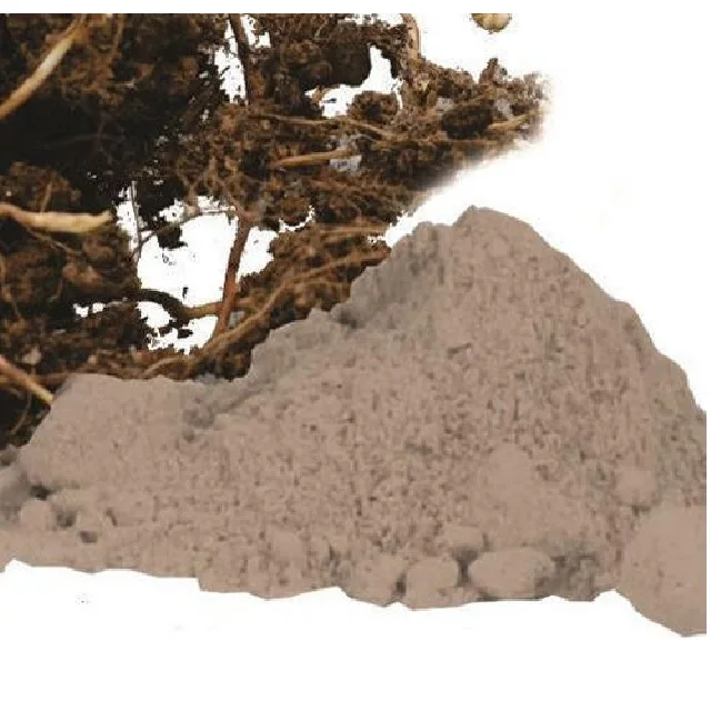Whole Spice Organic Bacopa Monnieri (Brahmi) Powder Raw Processing Brown Dried Style Products Natural Spices Herbs