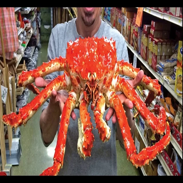 Frozen King Crab,Live King Crabs,King Crab Legs
