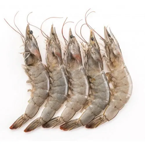 Frozen Shrimp brands with good factory price / SEAFOOD Top Quality Cold Water Shrimp