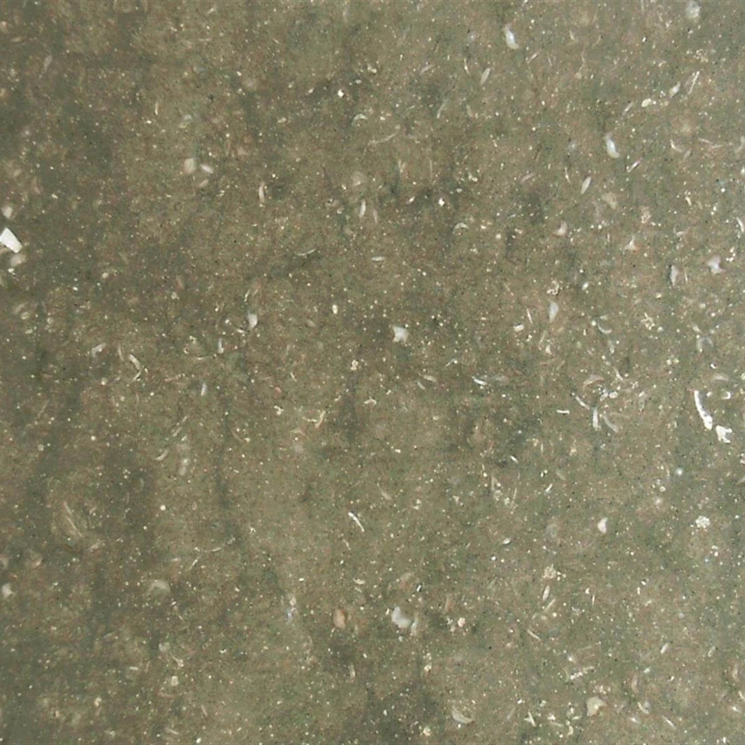 Деревенский зеленый мрамор-Eflani ископаемый деревенский зеленый
