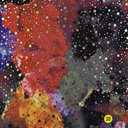 EPO 600D 100 Polyester with Glossy Floral Laser Film Transferred Print for Luggage