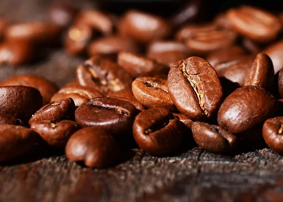 Best Price Coffee Beans Arabica Raw Coffee Beans Directly from Vietnam Specialty The Farm High Standard