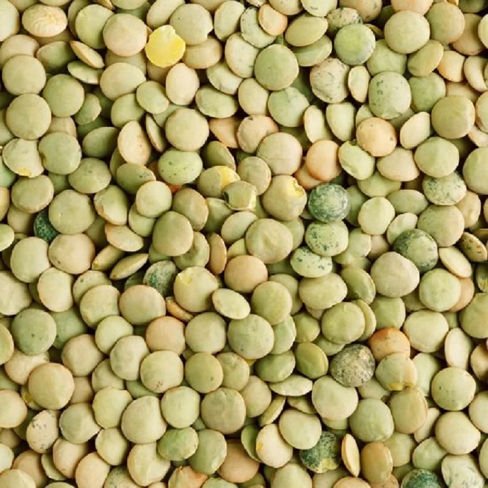 Green_Lentils_40403.jpg