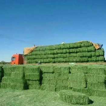 We Sell Top Quality Premium Alfalfa Hay, At Low Price,,,