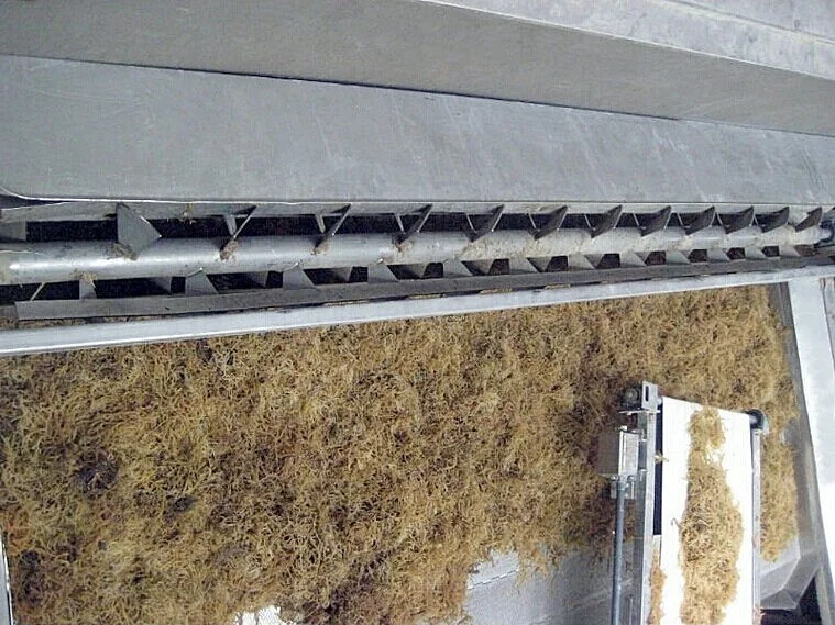 Industrial belt dryer machine for hemp leaves seaweed