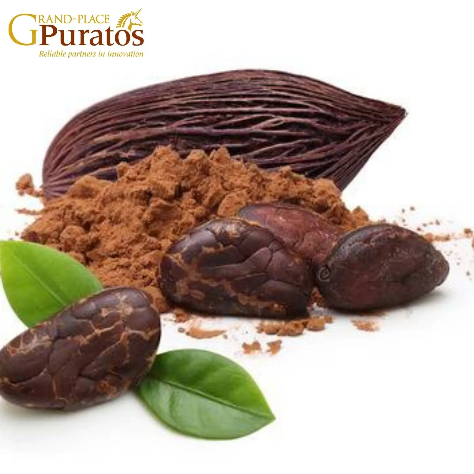 Unsweetened HALAL cocoa powder - Asian Origin