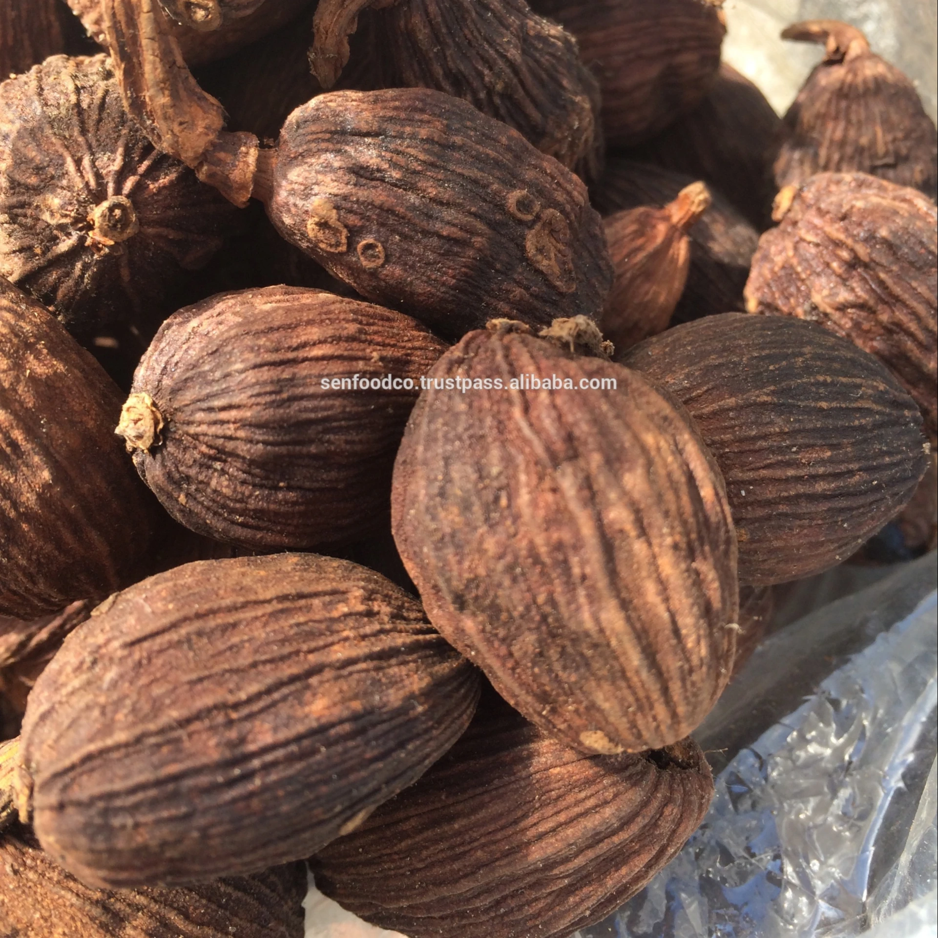 
BLACK CARDAMOM FROM VIETNAM 